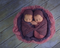 Newborn multiples photographer Tucson