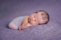 newborn photographer Tucson